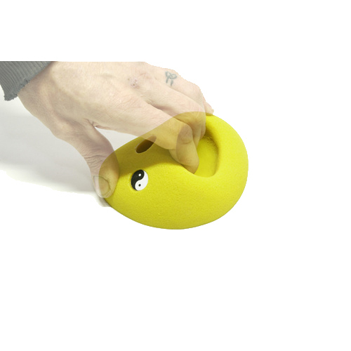 Random Large Climbing Hold x 1