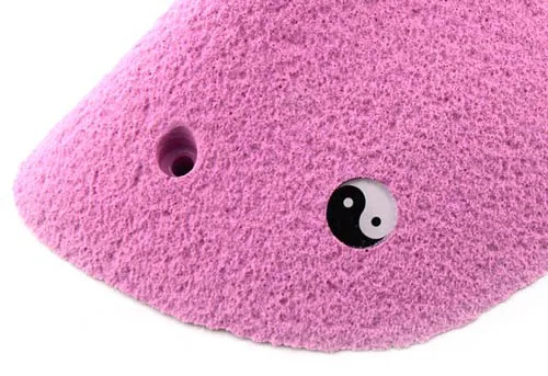 Climbing hold with primary bolt hole and secondary anti-rotation screw hole.