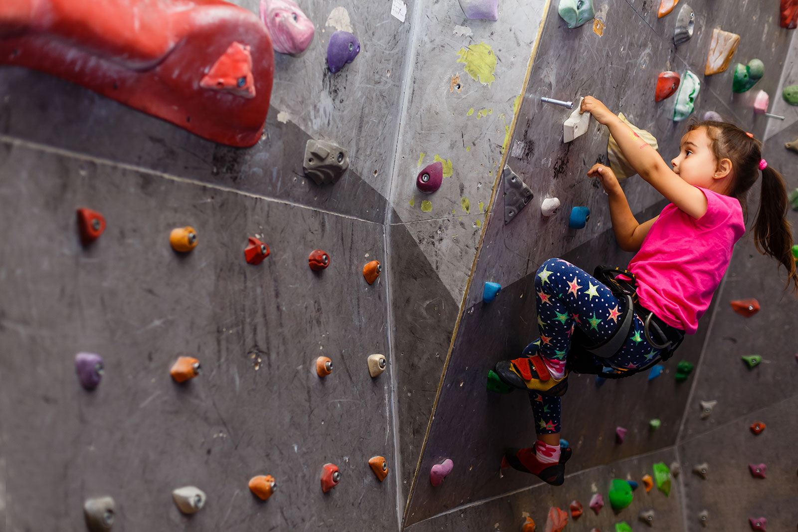 Climbing Holds for Kids