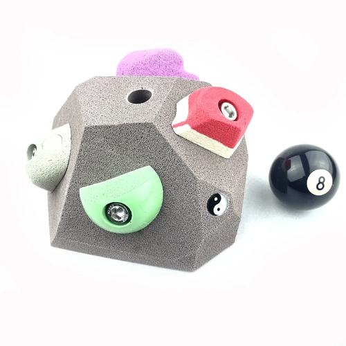 The Host Mini-Volume